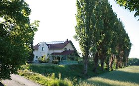 Rosenhotel Zwentendorf